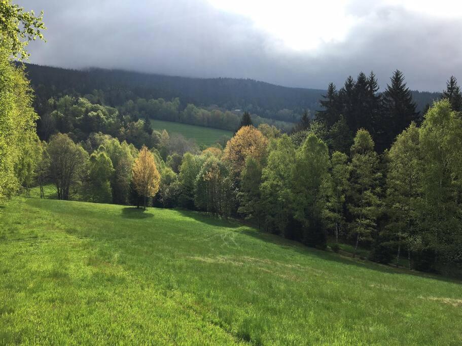 Apartmán Borůvka Zelezna Ruda Exterior foto