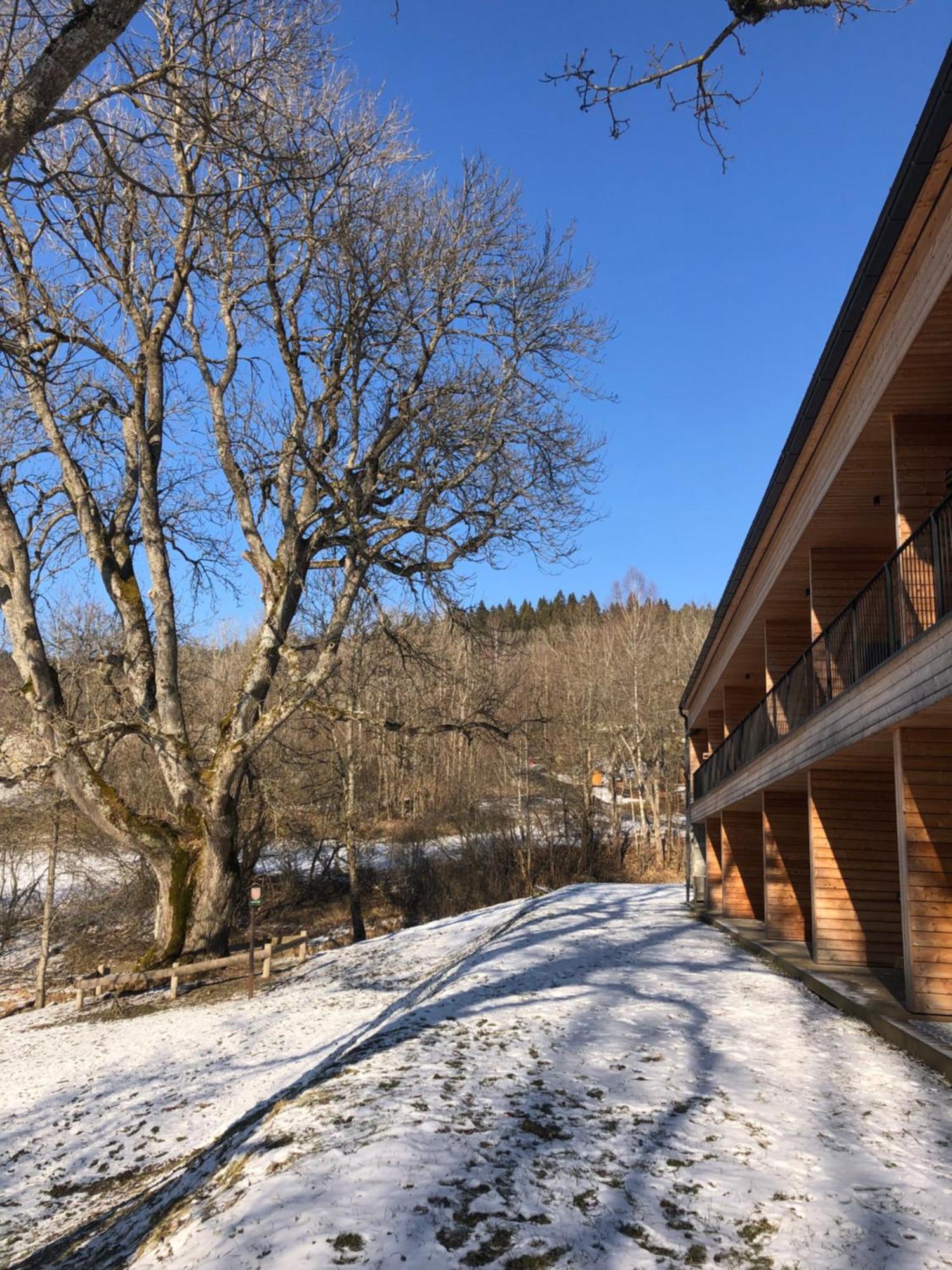 Apartmán Borůvka Zelezna Ruda Exterior foto